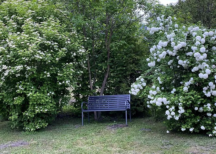 Kokapu Vendeghaz 아파트 Hegymagas